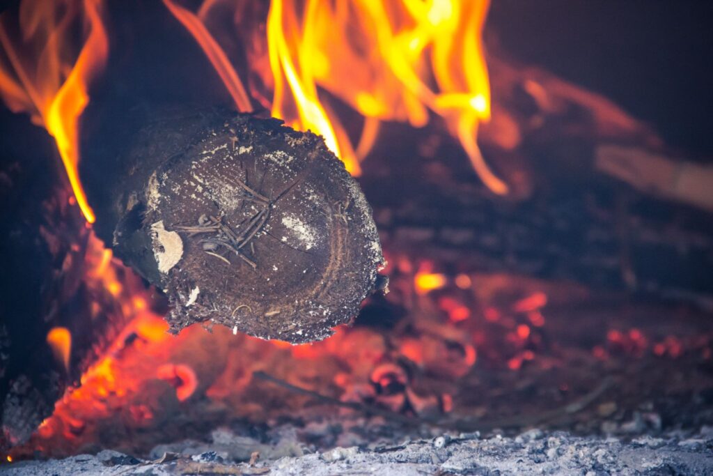 Burning log
